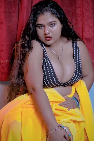 MEGHA IN YELLOW SAREE FASHION VLOG 2025